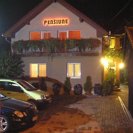 Pensiunea Miorita Arad Exterior foto