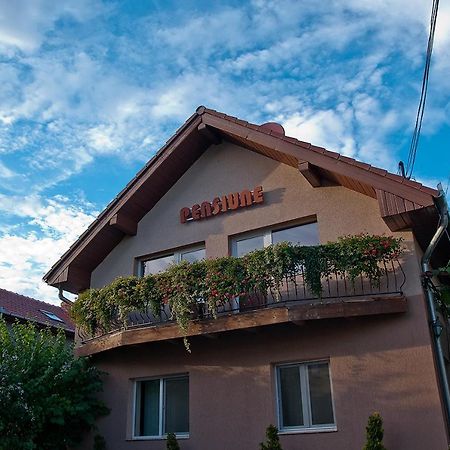 Pensiunea Miorita Arad Exterior foto