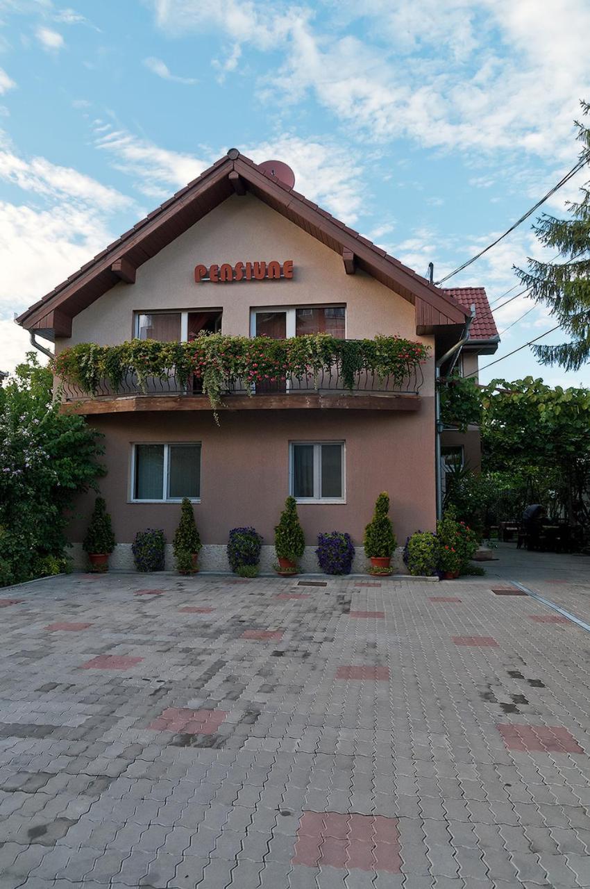 Pensiunea Miorita Arad Exterior foto