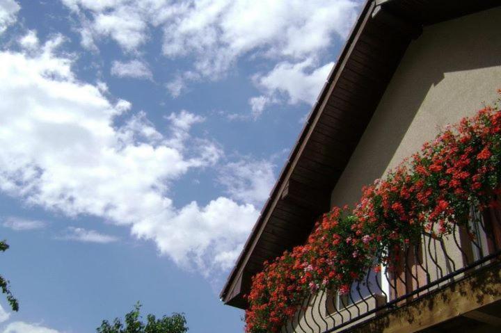 Pensiunea Miorita Arad Exterior foto