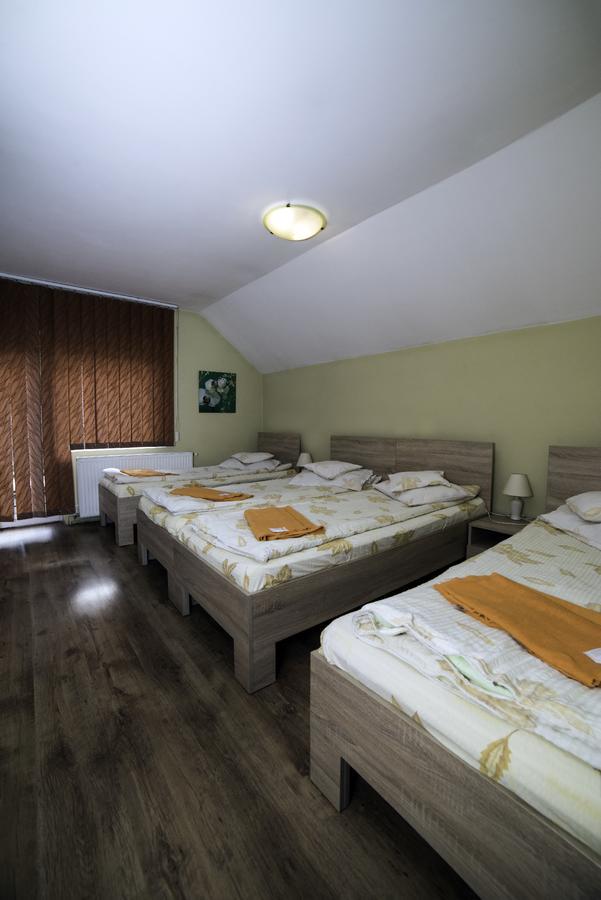 Pensiunea Miorita Arad Exterior foto